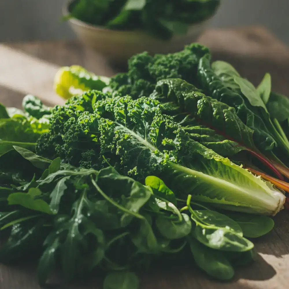 Bright and crisp green leafy vegetables